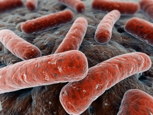 bacterias enfermedad periodontal